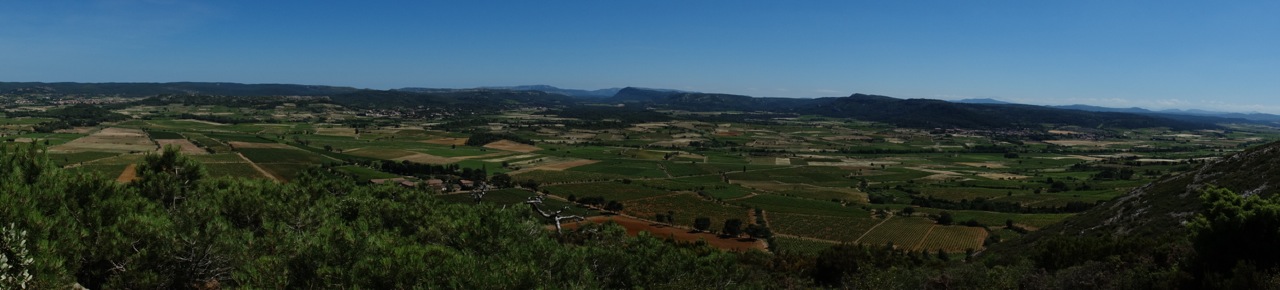 Le paysage viticole du haut du massif du Pinada, en Corbières-Boutenac