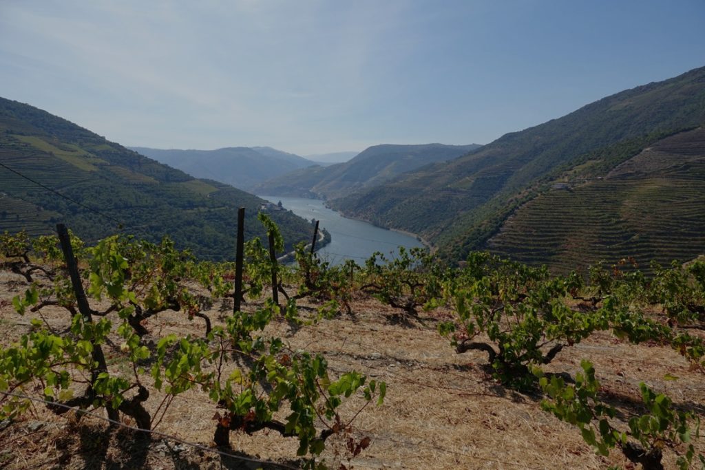 Une vue de la vallée du Douro au Portugal