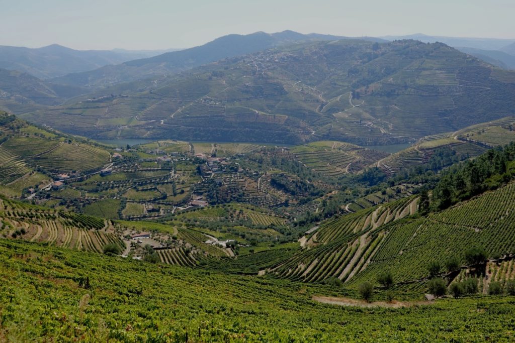La vallée du Douro, un lieu sauvage et cultivé de vignobles anciens