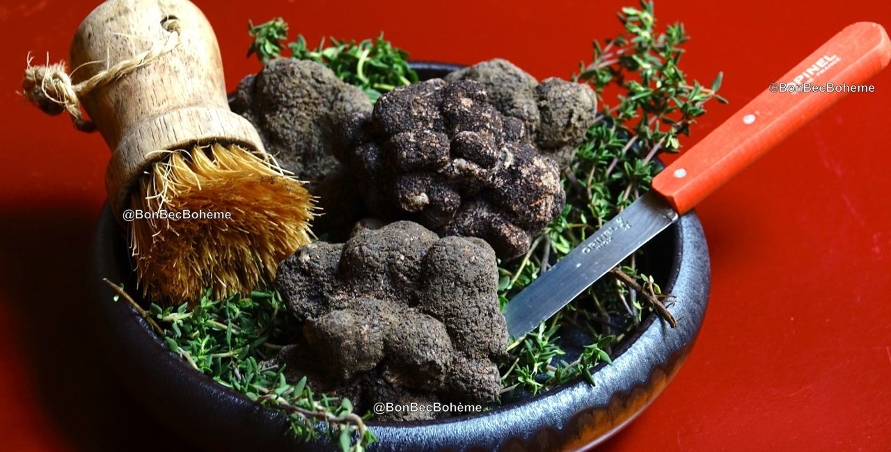 La truffe noire melanosporum