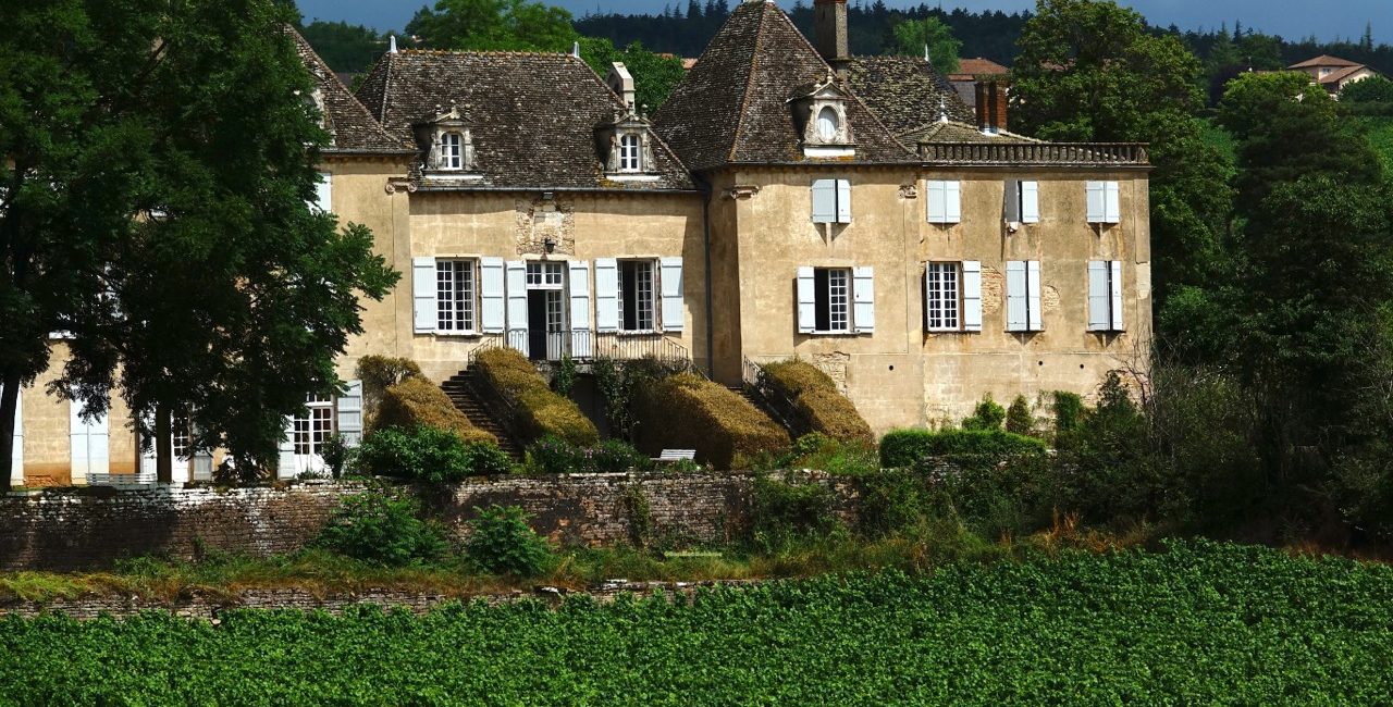 Vignoble et château de Montceau